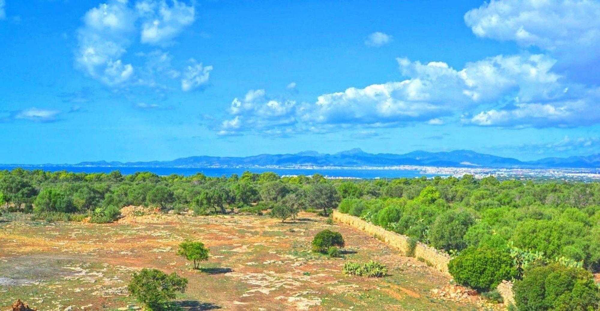 Nettes Ferienhaus In Ses Cadenes Mit Privatem Pool * Llucmajor (Mallorca)